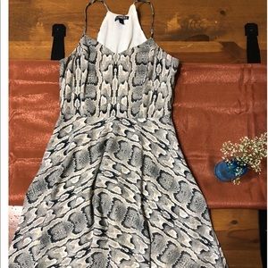 Express snake skin skater dress